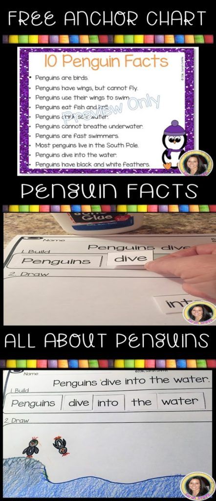 penguin-facts-for-kids Penguins Kindergarten, Penguin Worksheets, Science Kindergarten, Building Sentences, Penguin Facts, All About Penguins, Animal Lessons, Non Fiction Writing, First Grade Writing