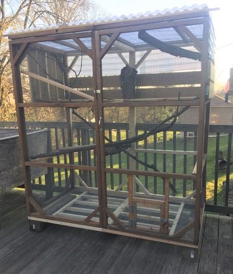 Pet Squirrel Cage Ideas, Squirrel Cage Ideas, Squirrel Enclosure, Baby Squirrel Care, Pet Squirrel, Squirrel Home, Outdoor Enclosure, Squirrel Cage, Pet Projects