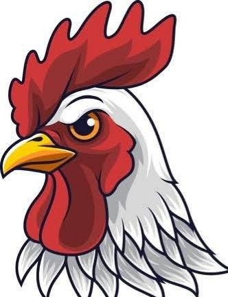 Cute Chicken Aesthetic, Aesthetic Chicken, Rooster Head, Chicken Aesthetic, Farm Aesthetic, Cartoon Rooster, Chicken Vector, Chicken Drawing, Chicken Pictures