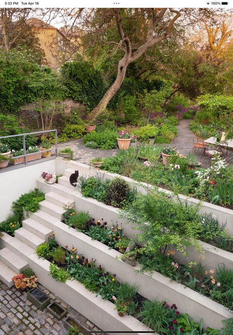 Steep Gardens, Arch Wall Mirror, Fire Area, Landscape Stairs, Urban Cottage, Sloped Backyard, Arch Wall, Sloped Garden, London Garden