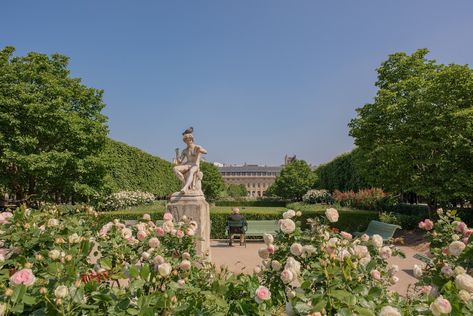 Exploring Historic Palais Royal In Paris - TravelAwaits Paris Parks, Gardens In Paris, Secret Paris, Brick Archway, Horse Chestnut Trees, Luxury Hospitality, Paris Itinerary, Table Dinner, Nature Museum