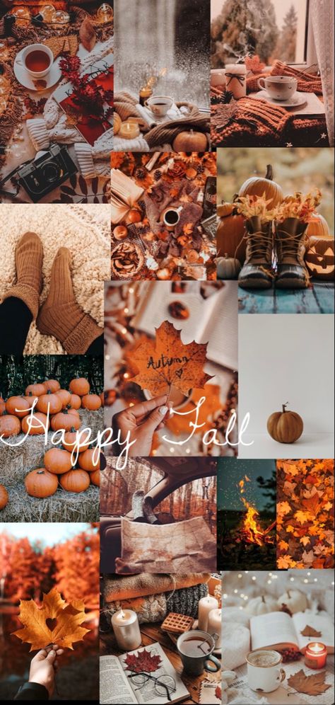 Fallwallpapers Aesthetic, White Aesthetic Fashion, Pictures Of Fall, Autumn Phone Wallpaper, Fall Board, Fall Backgrounds, Preppy Wallpapers, Vsco Wallpaper, Fall Wallpapers