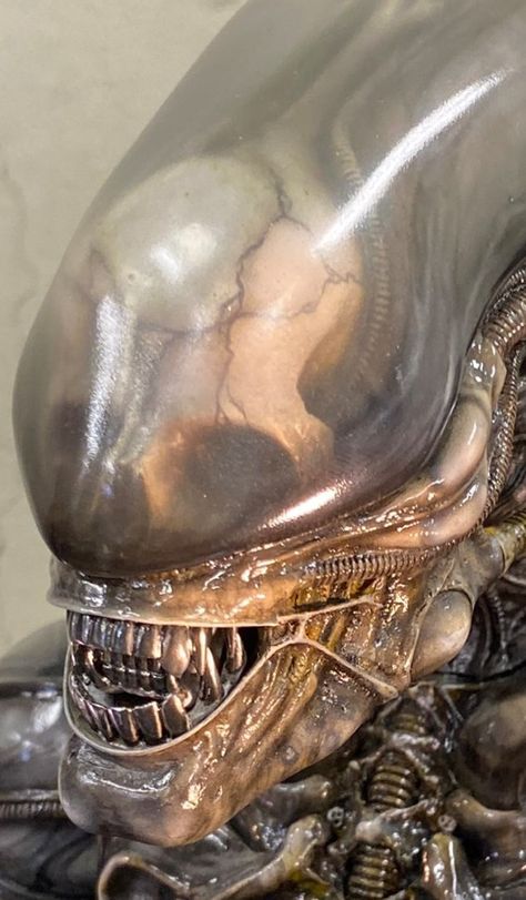 Hr Giger Alien, Aliens Movie Art, Hr Giger Art, Giger Alien, Predator Alien Art, Giger Art, H.r. Giger, Alien Skull, Alien Life Forms