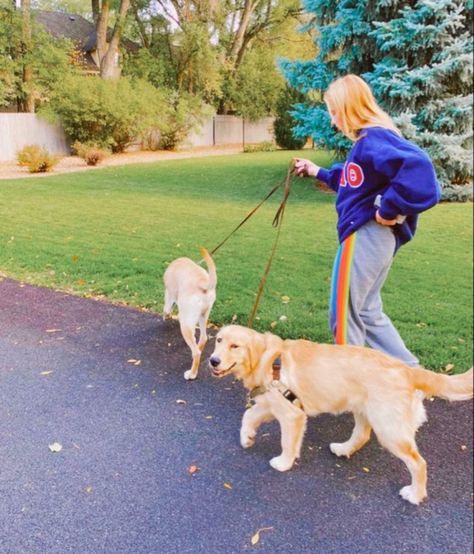 preppy dog inspo//preppy outfit//preppy aesthetic Preppy Animals, Dog Lab, Preppy Inspo, Preppy Dog, Outfit Preppy, Vsco Pictures, Big Little Shirts, Dog Mommy, Preppy Lifestyle