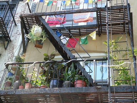 Fire Escape Balcony, Fire Escape Garden, Apartment Balcony Garden Ideas, Apartment Therapy Living Room, Apartment Color Schemes, Balcony Garden Ideas, City Gardens, Bedroom Decor For Women, Apartment Balcony Garden