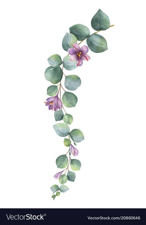 Purple Flower Illustration, Watercolor Botanical Flowers, Watercolor Vines, Purple And Green Flowers, Flower Greeting Cards, Branch With Leaves, Flowers With Leaves, Spring Leaves, Watercolor Vector