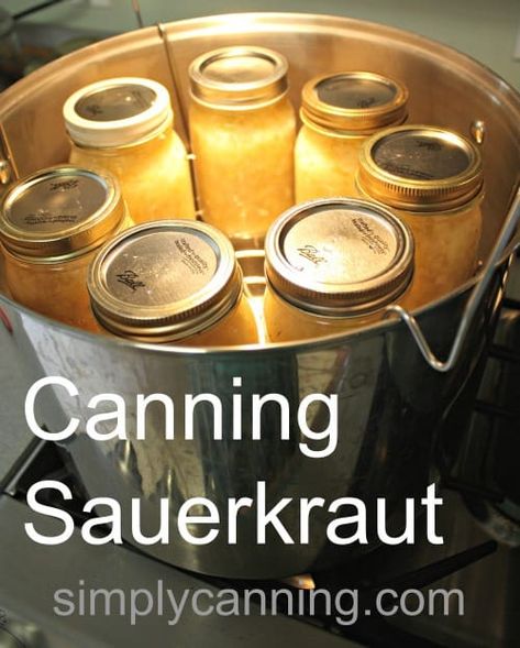 Canning Sauerkraut, Fermented Sauerkraut, Sauerkraut Recipe, Homemade Sauerkraut, Home Canning Recipes, Canning Vegetables, Canning Food Preservation, Canned Food Storage, Sauerkraut Recipes