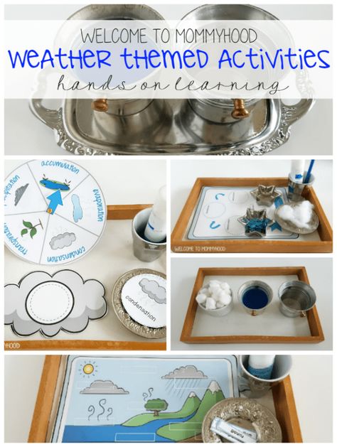 Water cycle for kids: montessori activities #montessoriactivties Water Cycle Craft, Water Cycle For Kids, Waldorf Activities, Weather Printables, Water Cycle Activities, Cycle For Kids, Montessori Science, Butterflies Activities, Montessori Printables