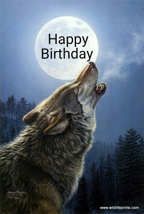 Happy Birthday Wolf Picture, Wolf Drawing Ideas, Drawing Of Wolf, Happy Birthday Wolf, Silly Happy Birthday, Happy Birthday Motorcycle, Happy Birthday Brother Funny, Birthday Brother Funny, Wolf Birthday