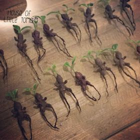 Diy Mandrake Harry Potter, Chamber Of Secrets Party, Diy Mandrake, Make A Magic Wand, Harry Potter Tea Party, Harry Potter Art Projects, Harry Potter Plants, Harry Potter Themed Birthday Party, Harry Potter Mandrake