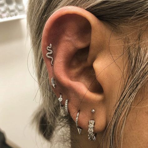 Raven Method, Ear Curation Ideas, Earring Combos, Jewelry Combos, Pretty Piercings, Ear Curation, Ear Piercings Chart, Double Ear Piercings, Ear Piercings Tragus