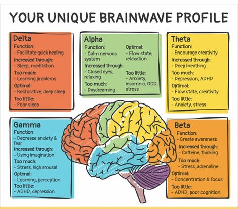 Brain Anatomy And Function, Neurofeedback Therapy, Psychology Notes, Psychology Studies, Basic Anatomy And Physiology, Biology Facts, Brain Facts, Brain Anatomy, Mental Health Facts