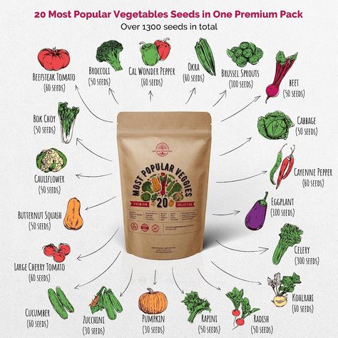 Amazon.com : 20 Vegetable Non-GMO Heirloom Seeds for Planting Vegetables and Fruits - Seed Packets in Home Survival Garden Seeds Variety Pack for Hydroponic and Outdoor Planting, Semillas de Vegetales Para Sembrar : Patio, Lawn & Garden Home Survival, Survival Garden, Stuffed Anaheim Peppers, Beefsteak Tomato, Sweet Watermelon, Starting Seeds Indoors, Survival Gardening, Vegetable Seeds, Pickling Cucumbers