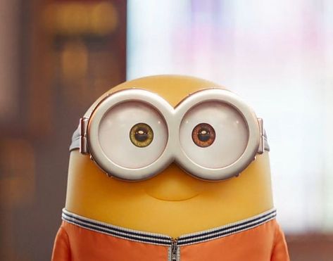 A Minion, Minion, Minions