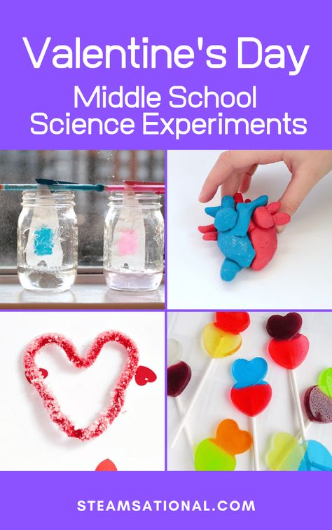 Valentine's Day Science Activities for Middle School 5 Middle School Science Lab, Valentine Science Experiments, Middle School Science Projects, Valentine Stem Activities, Elephant Toothpaste Experiment, Valentine Stem, School Science Experiments, Science Lessons Middle School, Science Valentines