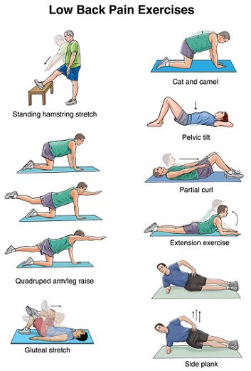 10 Lower Back Pain Relief Methods | Left, Right & Middle | Thrombocytes Dowager's Hump, Physiotherapy Exercises, Upper Back Exercises, Middle Back Pain, Lower Back Pain Exercises, Upper Back Pain, Lower Back Pain Relief, Lower Back Exercises, Back Pain Exercises