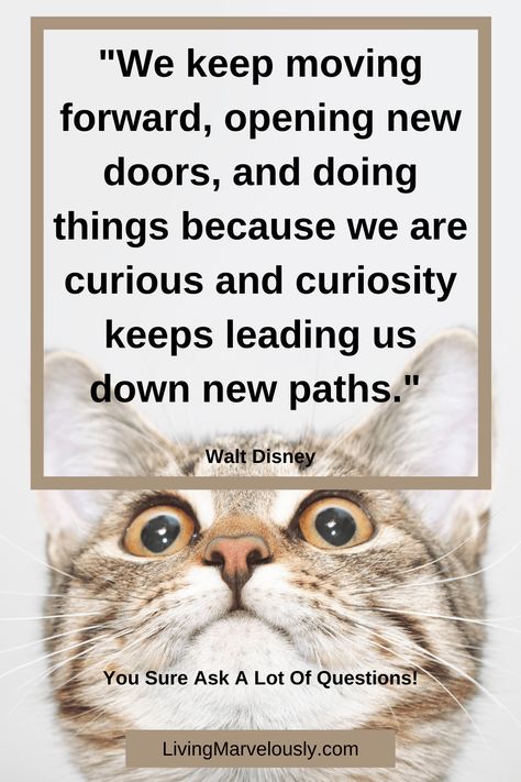 What is curiosity and why do we need more of it in our lives? Curiosity is the key to learning about and experiencing life. Discover the benefits. Plus quotes to keep the curiosity flowing. #curious #curiosity #livingmarvelously Positive Memes, Motivational Articles, Life Satisfaction, 21st Century Skills, Keep Moving Forward, Confidence Building, Quotes About Strength, Life Purpose, Feeling Happy