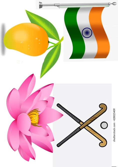 National Symbols Of India For Kids, National Symbols Of India, Birthday Chart Classroom, Birthday Chart, India For Kids, Holiday Homework, National Symbols, Homework, Independence Day