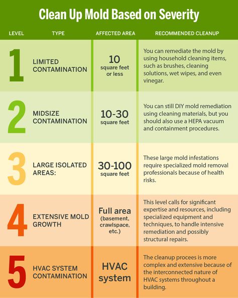 🚫🦠 Is mold lurking in your home? Check out our latest article for everything you need to know about mold remediation costs. From average prices to DIY tips, we’ve got you covered! Clean List, Mold Toxicity, Mom Routine, Mold Exposure, Mold Removal, House Hacks, Living Skills, Life Binder, House Tips