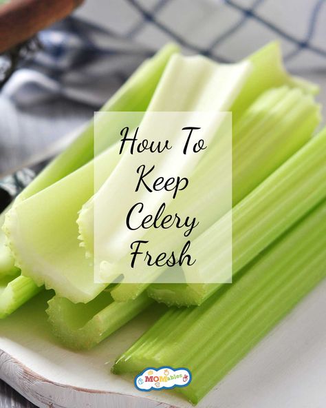 Keeping Celery Fresh In Fridge, Celery Preservation, How To Make Celery Last Longer, What To Do With Celery Tops, What Can I Make With Celery, How To Keep Celery Crisp, How To Keep Chopped Veggies Fresh, Keep Celery Fresh Longer, Store Celery In Fridge