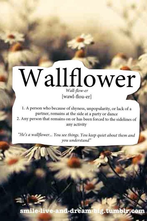 Let me know if someone has seen it. So does goes the name of movie "perks of being a wallflower". I Swear We Were Infinite, Perks Of Being A Wallflower Quotes, We Were Infinite, Wallflower Quotes, Teen Dictionary, Frases Tumblr, Perks Of Being A Wallflower, What Can I Say, Rare Words