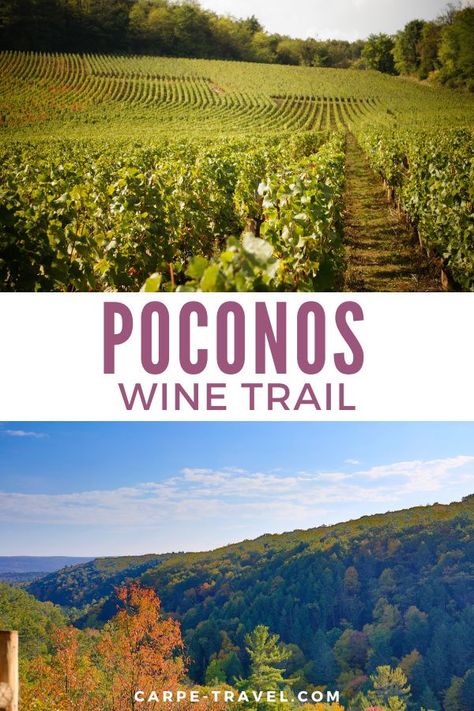 Poconos Bachelorette, Delaware Water Gap, Vacation 2023, Retirement Strategies, Pike County, The Poconos, Weekend Ideas, Mystery Dinner, Pocono Mountains