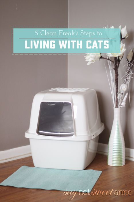 Clean Freak's Guide to Living With Cats - How to keep an odor and litter free litter box | saynotsweetanne.com I Love My Cats, Diy Litter Box, Raising Kittens, Cat Safe Plants, Love Means, Living With Cats, Cat Cleaning, Cat Hacks, Cat Parenting