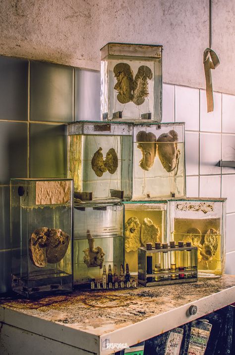 Evil Doctor, Wet Specimen, Mad Science, Weird Science, Vintage Medical, Photo Of The Day, Mad Scientist, Abandoned Places, Frankenstein