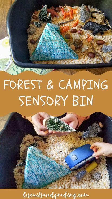 Almost all of our units of study have included a sensory bin for a couple of reasons: (1) they’re usually easy to put together, (2) Camden loves... Keep reading The post Simple Forest Sensory Bin (Camping Week) appeared first on Biscuits and Grading. Camp Theme Sensory Bin, Camping Table Activities Preschool, Camp Sensory Bin, Nature Themed Sensory Bins, Campfire Sensory Bin, Camping Theme Activities For Preschool, Camping Centers For Preschool, Camping Week, Camping Theme Sensory Bin