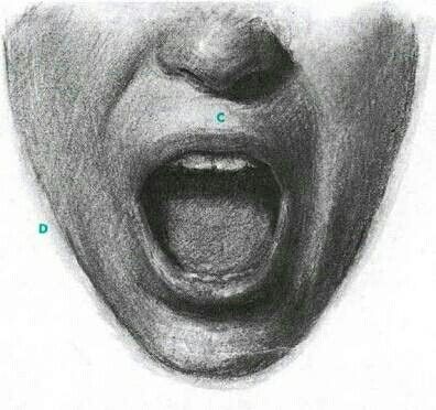 Open Mouth Drawing, Pencil Drawings Of Nature, Lips Sketch, Hair Stenciling, Pencil Drawings For Beginners, Lip Drawing, Pencil Drawing Tutorials, Mouth Drawing, Drawing Faces