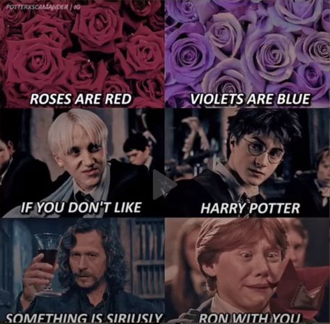 Harry Potter Funny Pictures, Harry Potter Song, Funny Harry Potter, Citate Harry Potter, Harry Potter Parody, Glume Harry Potter, Modele Pixel Art, Funny Harry Potter Jokes, Cute Harry Potter