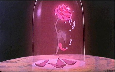 Disney Beauty and the Beast rose (Scroll down) by The Gift of Gifts, via Flickr Rose Meaning, Beauty And The Beast Rose, Beauty Drawings, Beauty Beast, Beauty Rituals, Enchanted Rose, Dark Soul, Disney Beauty And The Beast, Disney Tattoos