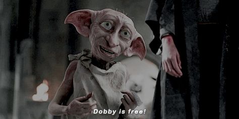 Dobby Is Free, Hp Movies, Free Dobby, Harry Potter Icons, Harry Potter Gif, Elf House, Harry Potter Facts, Harry Potter Wallpaper, Harry Potter Obsession