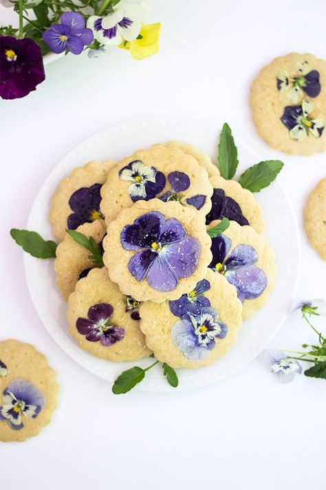 Pansies Sugar Cookies Recipe Healthy Sugar Cookies, Edible Flowers Recipes, Healthy Sugar, Dandelion Recipes, Flower Cookies, Sugar Cookies Recipe, Refined Sugar Free, Refined Sugar, Cookie Recipe