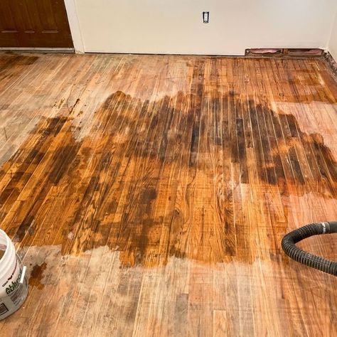 How To Save a Pet-Stained Hardwood Floor | Family Handyman How To Restore Old Wood Floors, Restoring Hardwood Floors Diy, How To Refinish Hardwood Floors, Restoring Hardwood Floors, Diy Hardwood Floor Refinishing, Staining Hardwood Floors, Scratched Wood Floors, Diy Floors, Wood Floor Restoration