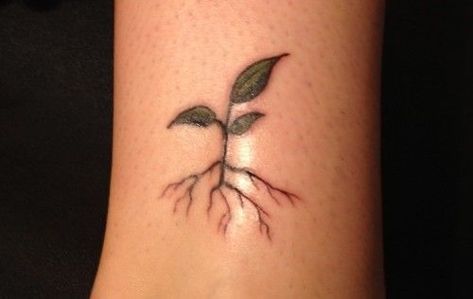 Roots Ankle Tattoo, Tree Sprout Tattoo, Tree Sapling Tattoo, Sprout Tattoo Plant, Plant Roots Tattoo, Plant Growth Tattoo, Herbivore Tattoo, Root Tattoo Ideas, Flower With Roots Tattoo