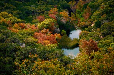 12 Of The Best Places To Visit During Fall In Texas Lost Maples State Park, Fall In Texas, Texas Day Trips, Places To Go In Texas, Travel The Us, Fall Destinations, Guadalupe Mountains National Park, Texas Vacation, Guadalupe Mountains