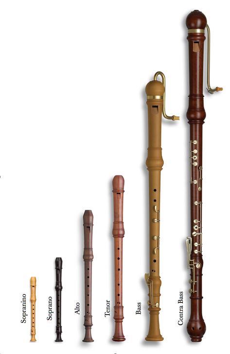 Recorder Musical Instrument, Flute Recorder, Instrument Families, Its My Birthday Month, Picture Background, Music Tabs, Woodwind Instruments, Recorder Music, Music And Movement