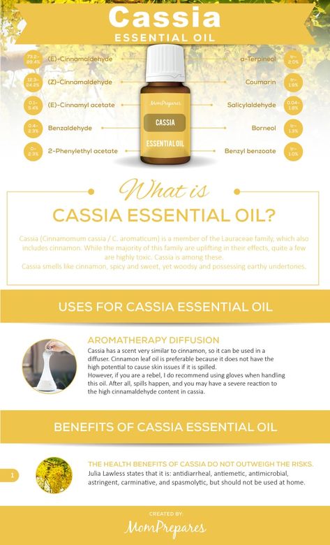 Cassia essential oil smells great in a diffuser, but should be treated with caution as it is a skin and mucous membrane irritant. Learn about the facts. via @momprepares Cassia Essential Oil Uses, Cassia Diffuser Blends, Doterra Cassia, Benefits Of Copaiba Essential Oil, Cassia Essential Oil, Essential Oil Carrier Oils, Oil Benefits, Essential Oil Benefits, Doterra Oils