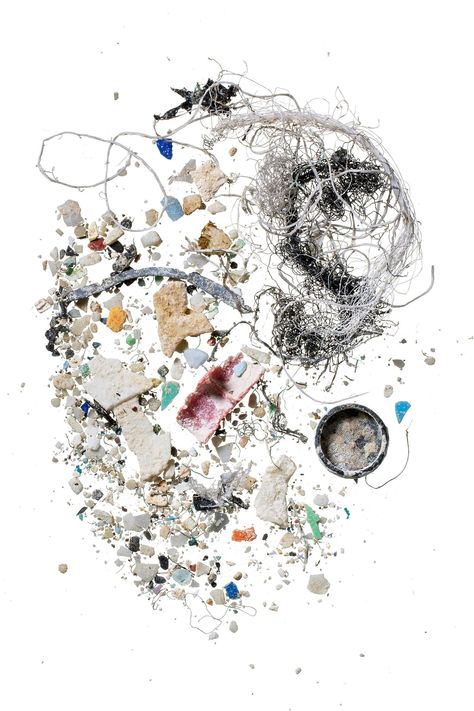 Microplastics have invaded virtually every crevice on Earth | National Geographic Marine Pollution, Tiny Fish, Ocean Pollution, Awareness Poster, Things Under A Microscope, Eco Design, A Day In Life, Plastic Sheets, Plastic Waste