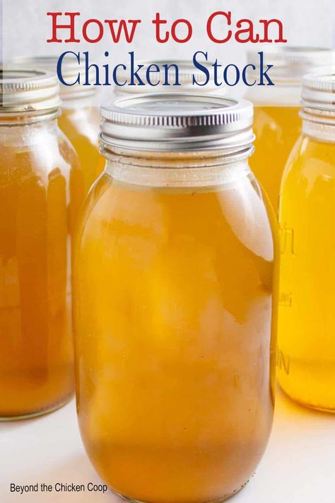 Making and canning your own chicken broth or stock just makes good sense. You control the ingredients and you have ready to use delicious homemade stock. Canning Chicken Stock, Canning Chicken, Chicken Stock Recipe, Easy Canning, Can Chicken, Vegetable Scraps, Home Canning Recipes, Canning Food Preservation, Homemade Chicken Stock