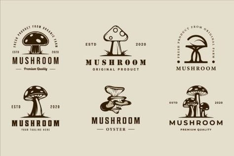 set of mushroom logo vector vintage illustration template icon graphic design. bundle collection of various oyster organic food sign or symbol for farm product with retro style set, mushroom, logo, ve... Mushroom Logo Ideas, Gourmet Mushrooms, Mushroom Logo, Icon Graphic Design, Mushroom Farm, Mushroom Graphic, Logo Design Set, Illustration Template, Sun Logo