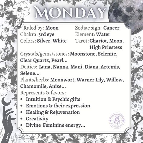 Birthday Month Flowers, Moon Zodiac, Elemental Magic, Magic Spell Book, Grimoire Book, Wiccan Spell Book, Magick Book, Witch Spell Book, Energy Healing Spirituality