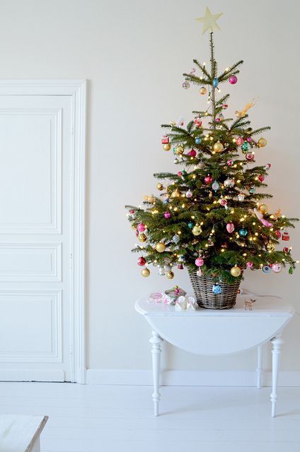 Tree Hunt, Small Space Christmas Tree, Small Christmas Trees Decorated, Navidad Natural, Tiny Christmas Trees, Happy Christmas Eve, Small Christmas Tree, Alternative Christmas Tree, Merry Christmas Eve