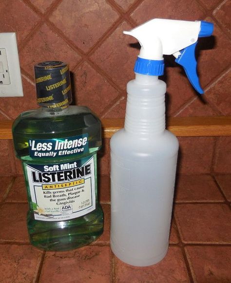 Pet Odor Eliminator, Urine Odor, Urine Smells, Dog Urine, Housekeeping Tips, Carpet Cleaning Hacks, Dog Odor, Pet Urine, Pet Stains