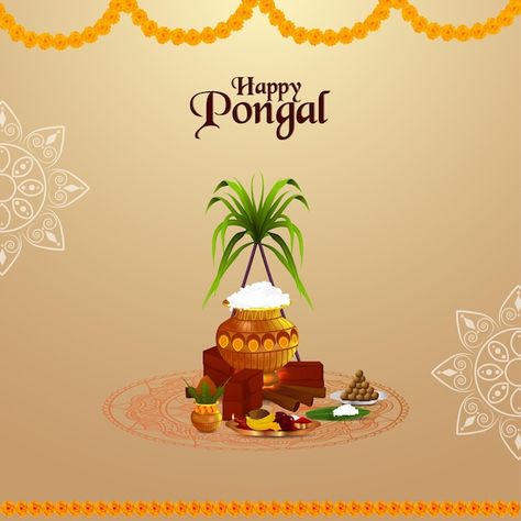 Pongal greeting card | Premium Vector #Freepik #vector #indian-traditional #pongal-pot #cultural-festival #traditional Pongal Greeting Cards, Sunny Selfie, Makar Sankranti Greetings, Pongal Images, Happy Pongal Wishes, Pongal Festival, Pongal Celebration, Happy Pongal, Pin Interest