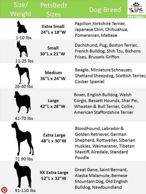 Dog bed size chart...because every dog, large and small deserves a great bed! Dog Crate Pad, Pet Crochet, Durable Dog Bed, Bed Pillow Cover, Small Dog Bed, Dog Bed Sizes, Dog Size Chart, Dog Crate Bed, Designer Dog Beds