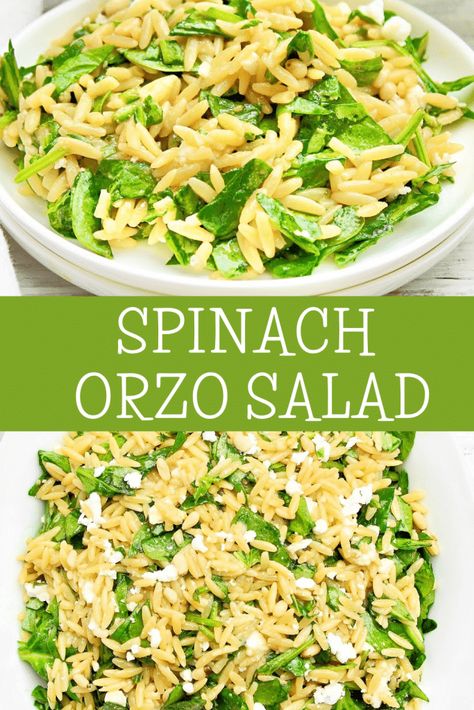 Mediterranean Orzo Pasta Salad, Spinach Orzo Salad, Spinach Orzo, Mediterranean Orzo, Green Bean Salad Recipes, Orzo Salad Recipes, Orzo Pasta Salad, Fresh Salad Recipes, Cold Pasta Salad