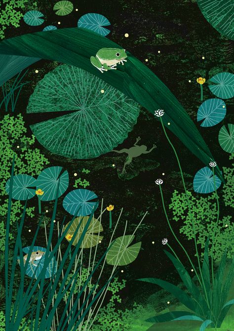 Showcase and discover the latest work from top online portfolios by creative professionals across industries. A Frog, Water Lilies, Lily Pads, Lily, Water, Green