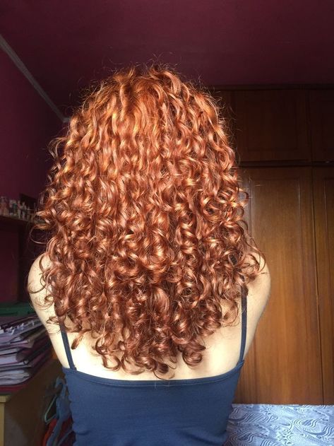 Dyed Curly Hair, Red Hair Inspo, Red Curly Hair, Ginger Hair Color, Blonde Curly Hair, Dyed Natural Hair, Beautiful Hair Color, Curly Hair Inspiration, Curly Hair Tips